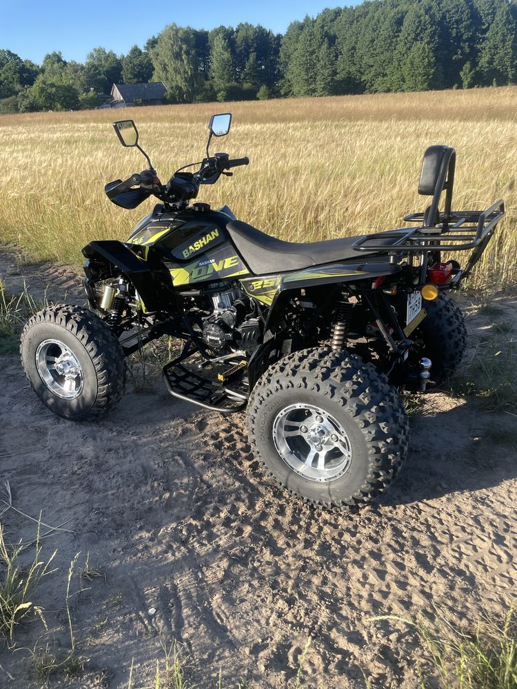 Bashan 250 x one Baschan