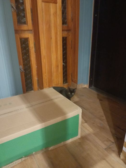 Janek Ogrodnik szuka swojego domu! nie musi być z ogrodem ;)