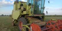 Dominator 85 stoł do rzepaku s