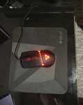Rato preto - 10€