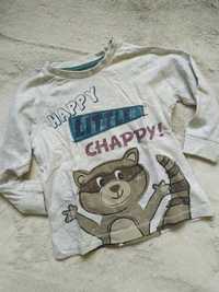 Koszulka chłopięca Happy little Chappy szop pracz szara