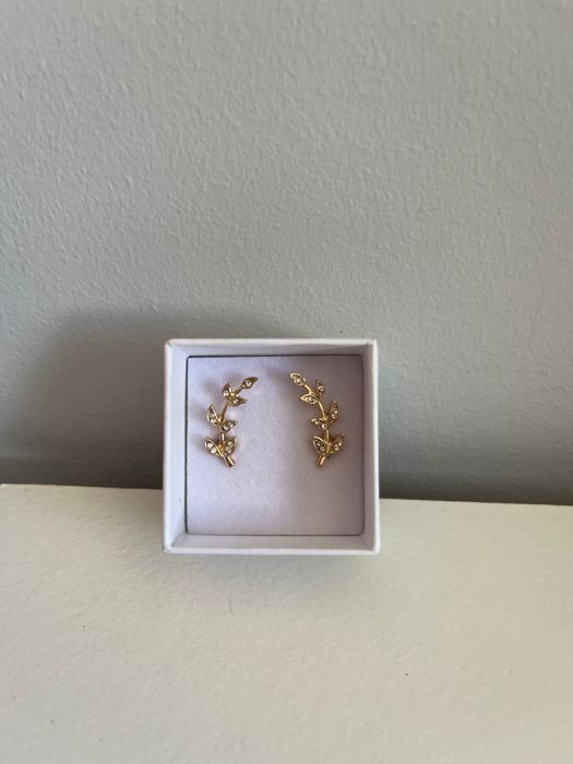 Vende-se Brincos Carilor