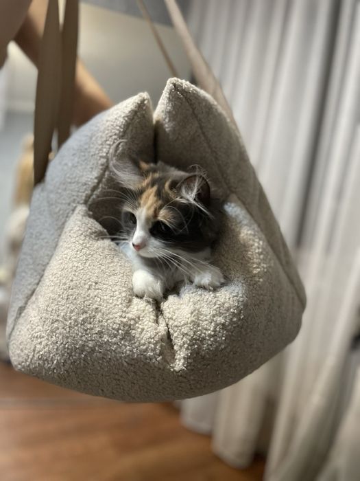 Лежанка лежак мʼякий  для собак кота Зоотовари мʼяке місце