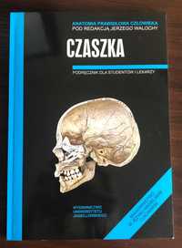 Czaszka - Anatomia Prawidłowa Człowieka