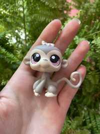 LPS Littlest pet shop małpka #1029