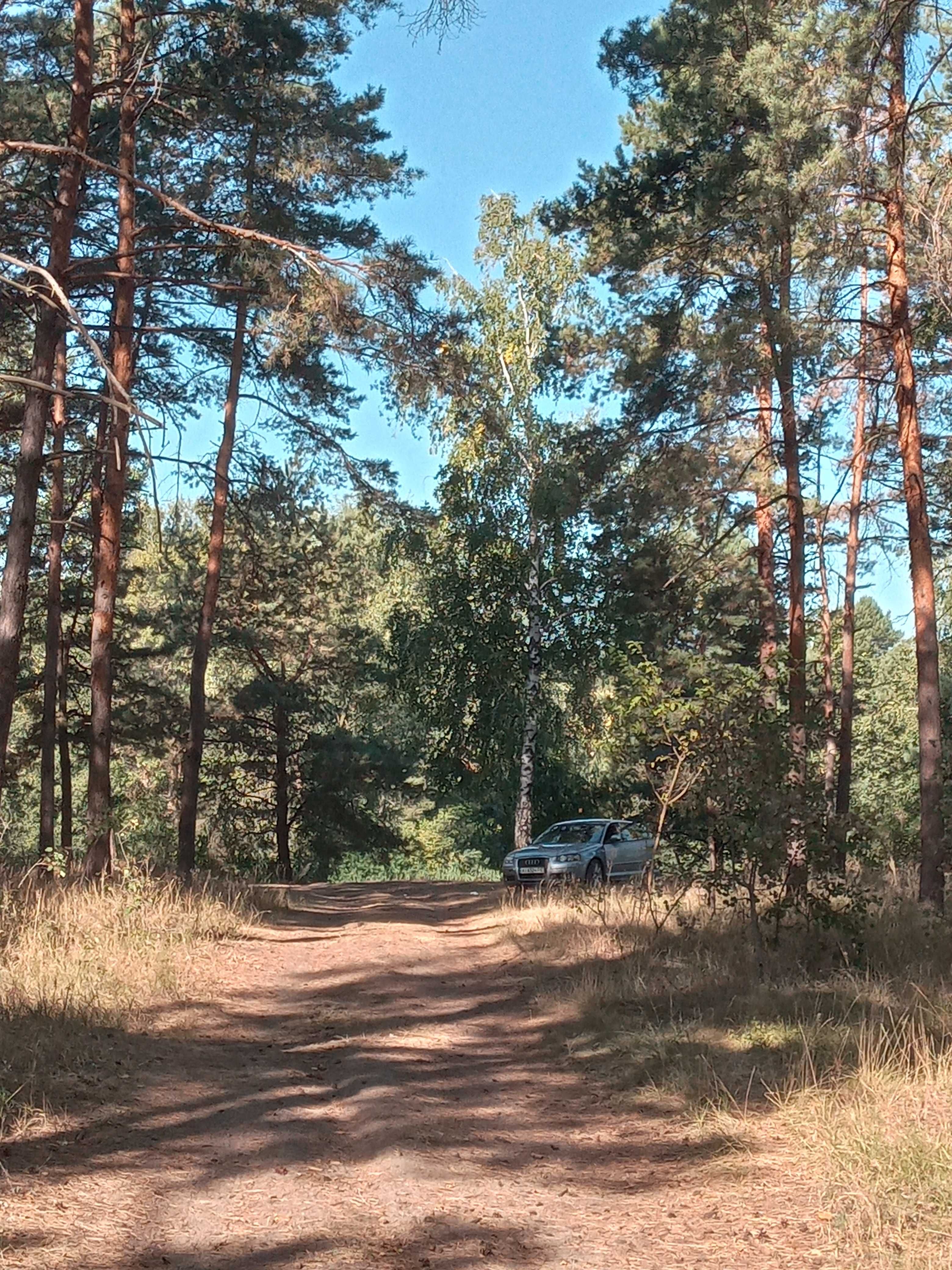 Земельна ділянка у лісі пл.  3.4 га з виходом на Києвське водосховище