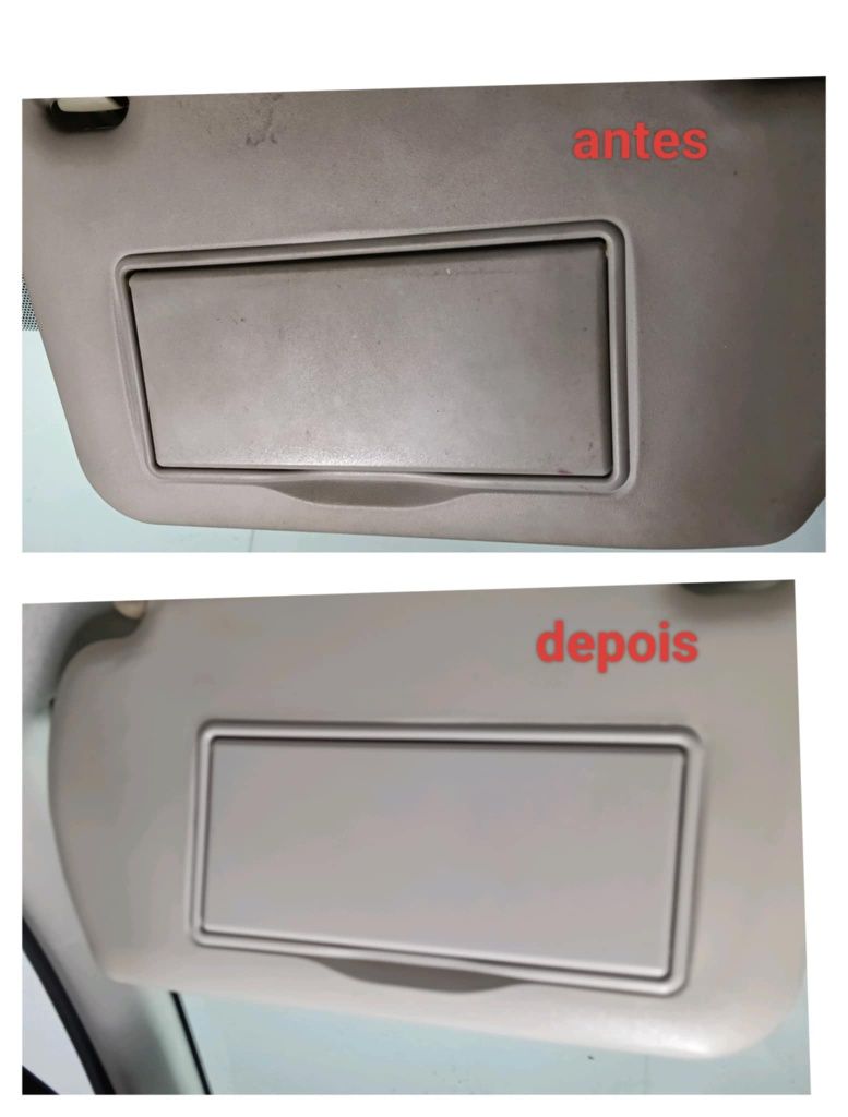 Lavagem manual Detalhada