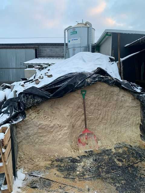 Alkalizacja Zakiszanie zboże kukurydza "Home'n dry" pH białko tłuszcz
