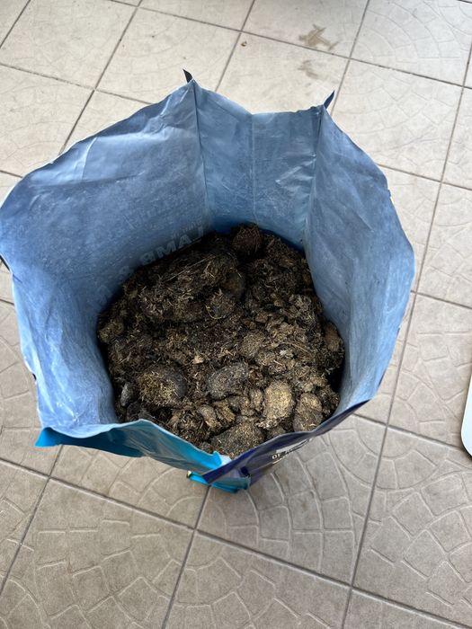 Obornik koński workowany