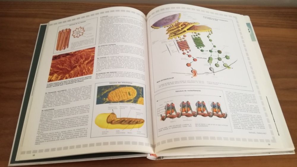 "A Aventura da Vida" Selecções do Reader's Digest