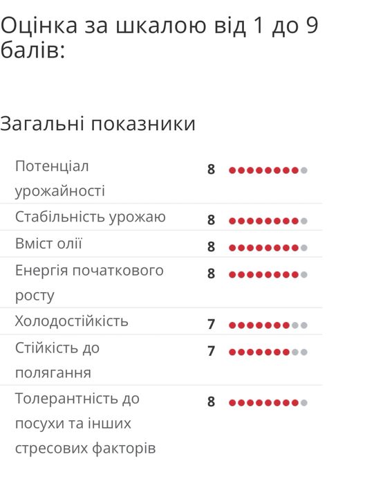 Насіння соняшнику. Limagrain 5555 LG 5555 під Євролайтинг.