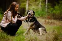 Najukochańszym pies świata - Demir do adopcji!