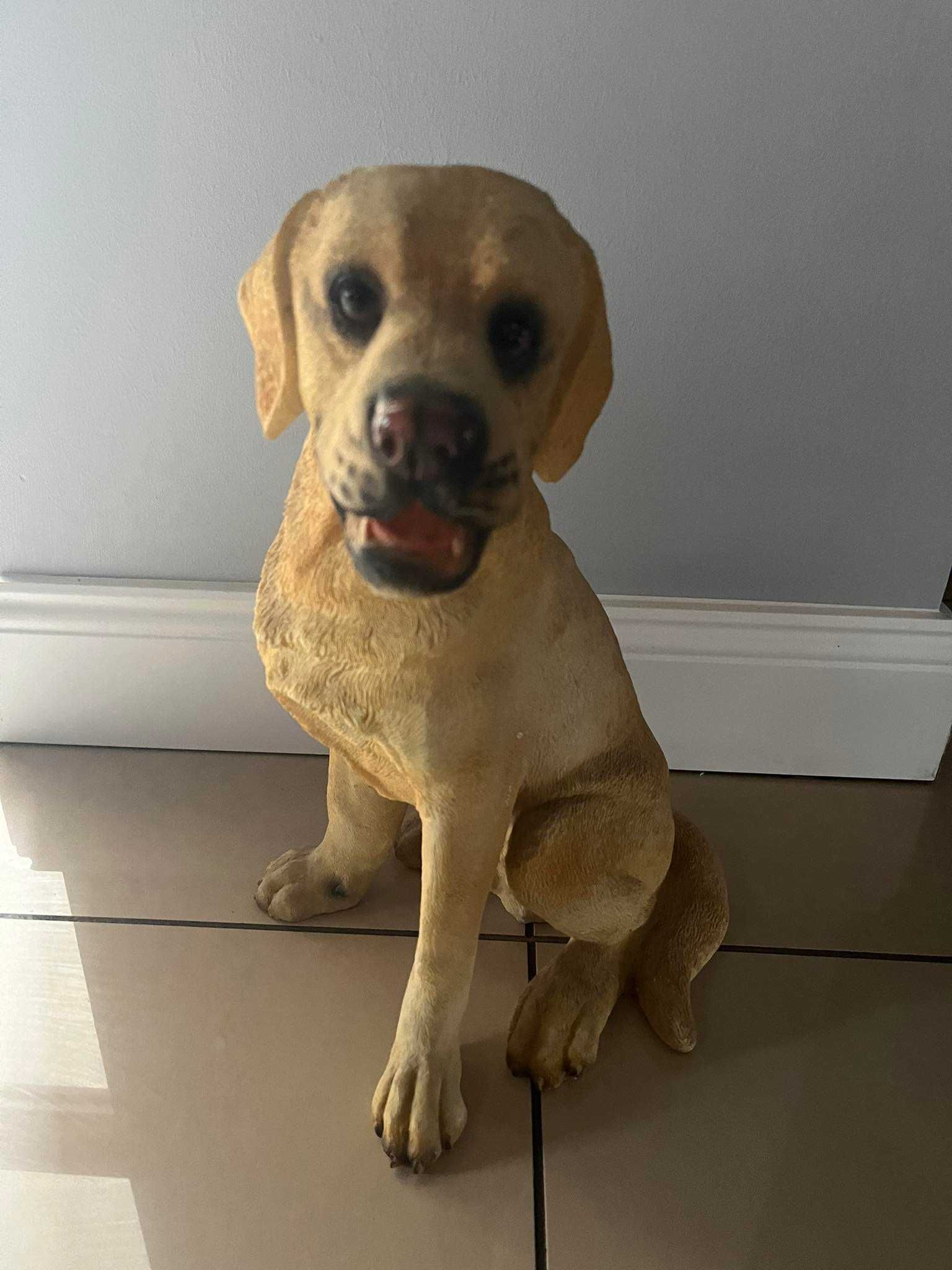 Pies Labrador duża figurka tworzywo sztuczne 32 cm