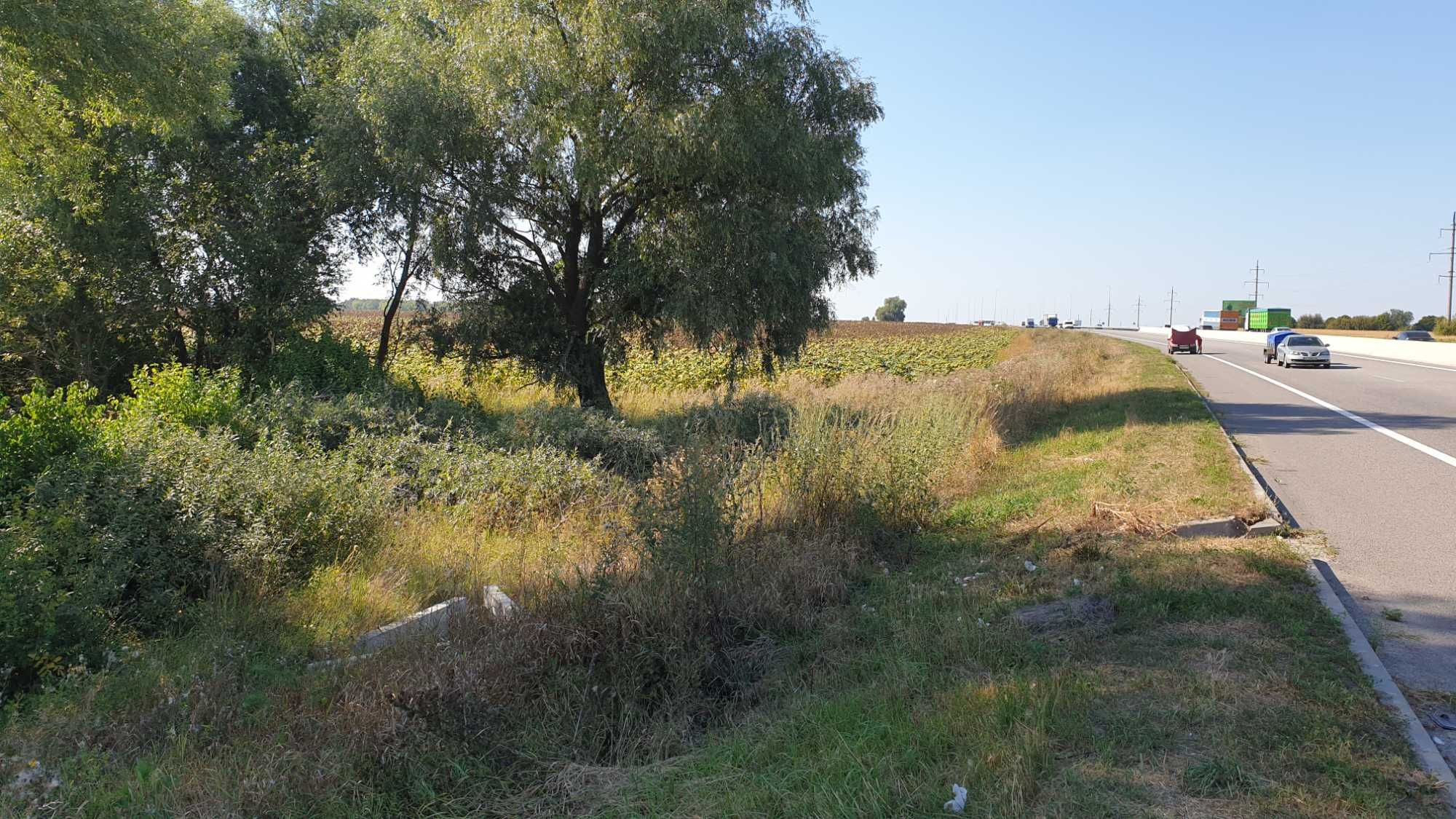 Продаж. Земельні ділянки, 17 Га, Фастівський р-н, с. Велика Солтанівка