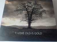 T LOVE old is gold 2 cd