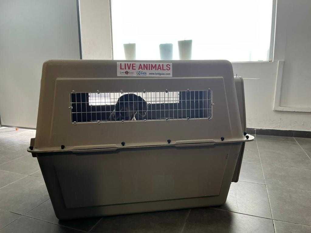 Kennel Varikenel 700