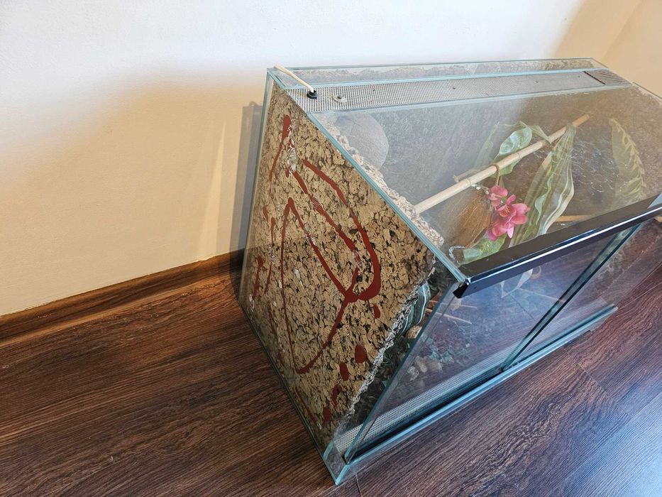 Duże Terrarium szklane z tłem korkowym i wyposażeniem dla Gekona Węża