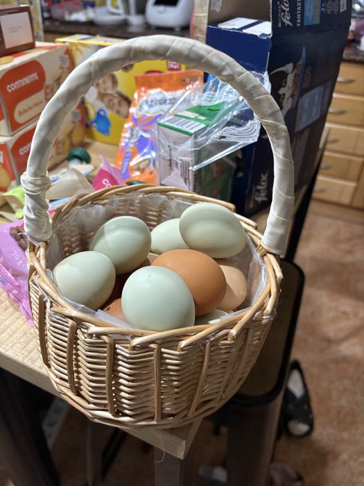 Ovos caseiros - não industrializados