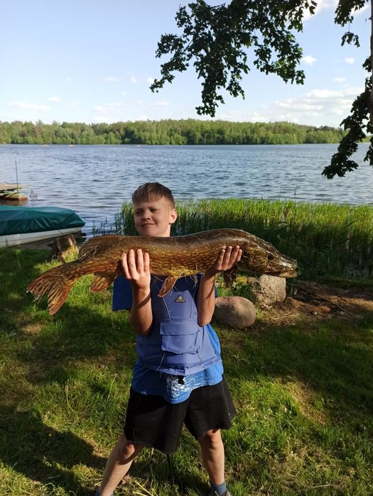 Wynajmę trzy domki na Sylwestra