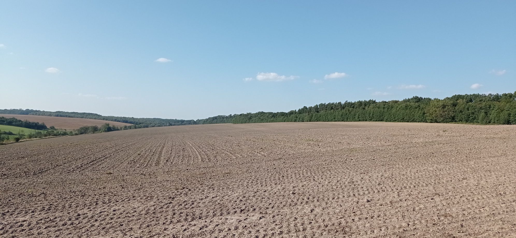 Ділянка(204сот-Пай)с.Селисько 14км до м.Львів(доїзд Давидів)