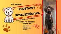 Podstawy Posłuszeństwa- Katowice