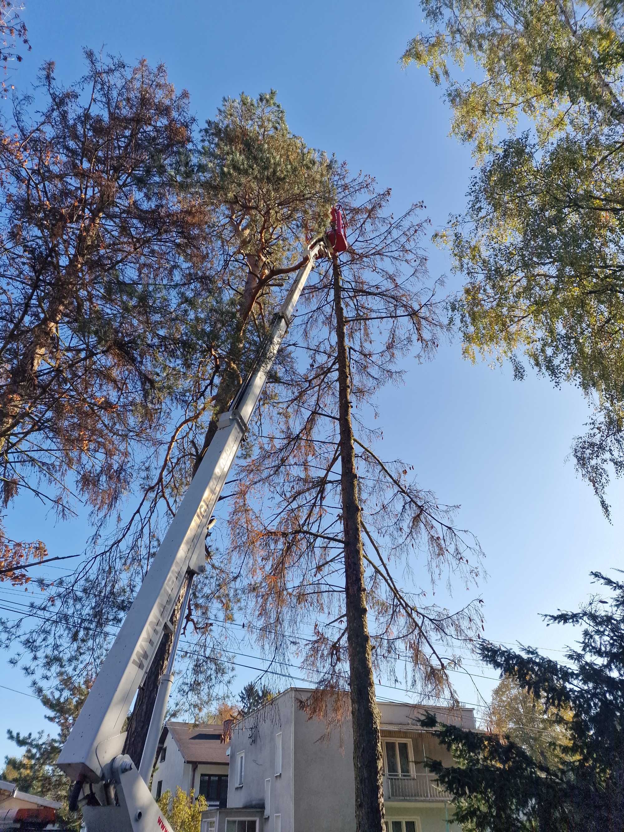 Wysięgnik/podnośnik koszowy/prace wysokościowe/nożycówka/zwyżka