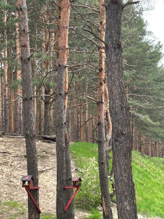 Таунхаус з газом та міськими комунікаціями, ділянка 1.5 сотки