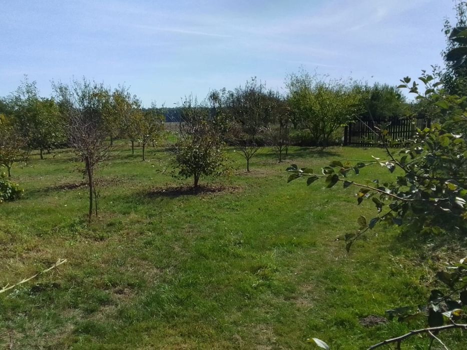 Działka budowlana Dobrosławów k. Puław