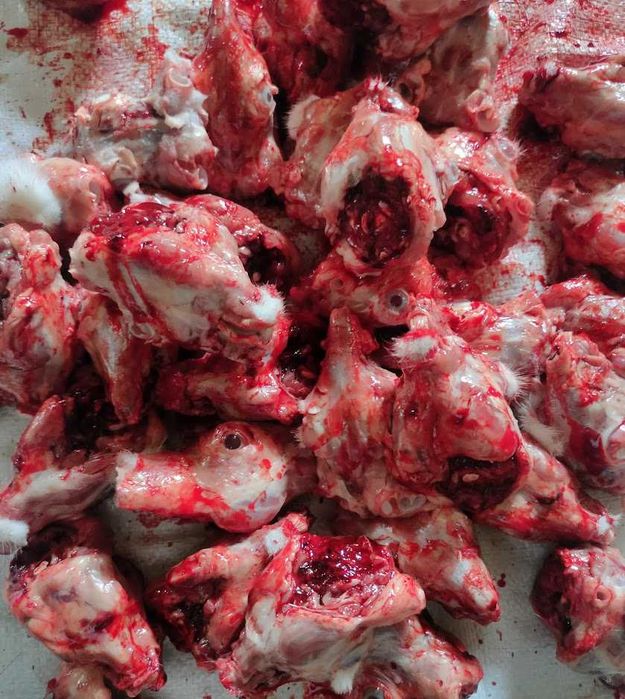 Голови КРОЛЯ (без шерсті)