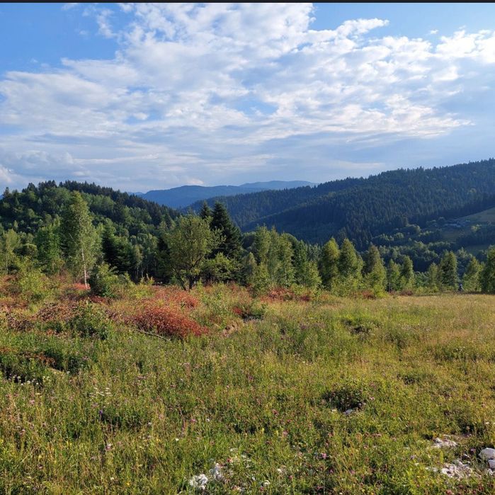Продам землю під забудову з фундаментом