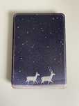 Etui case Kindle 10