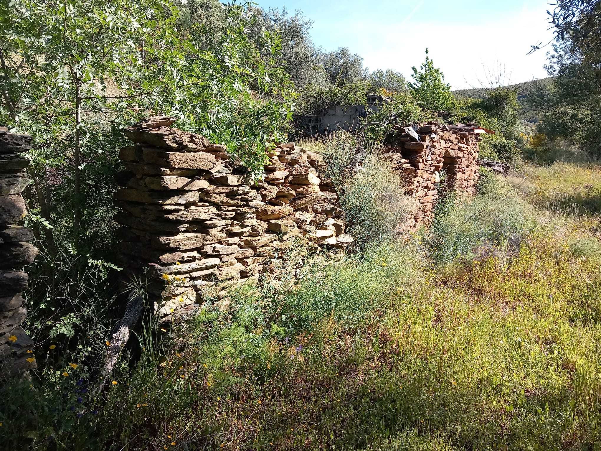 Terreno com casas para reconstruir