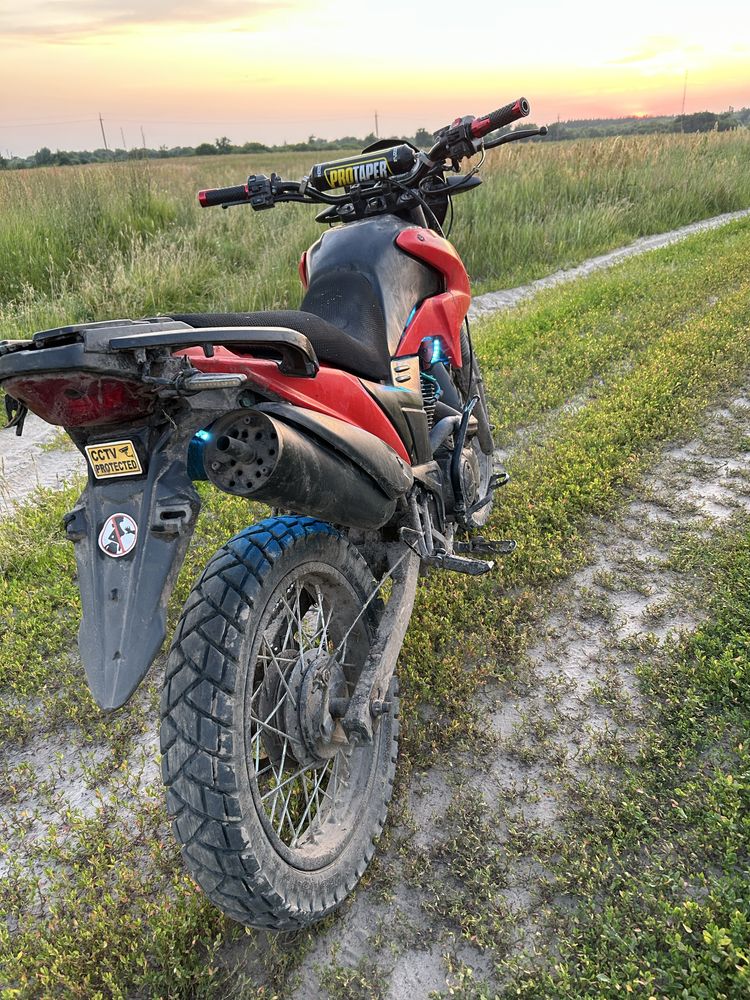 Продам Лонкин прус 200
