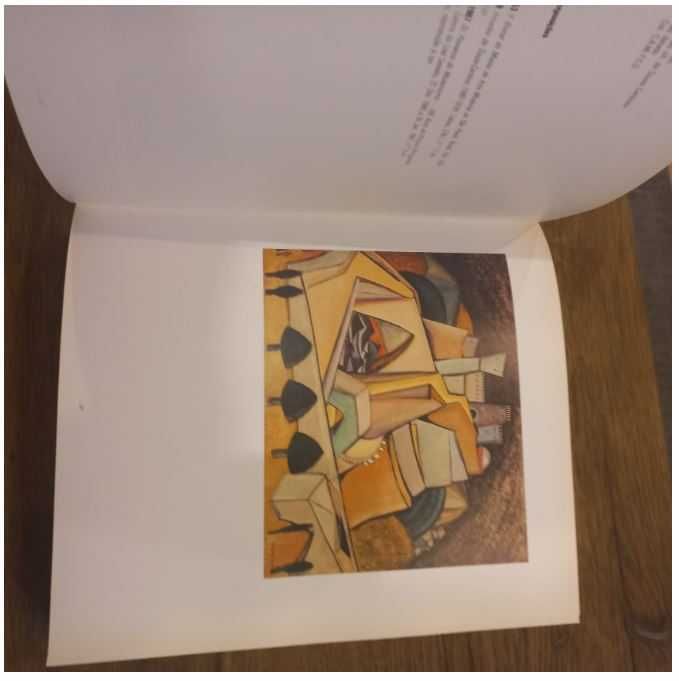 Livro Centenário do Nascimento de Amadeo de Souza Cardoso - 1887\1987