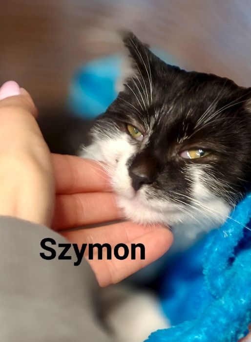 Szymuś błaga o szansę i dom ...