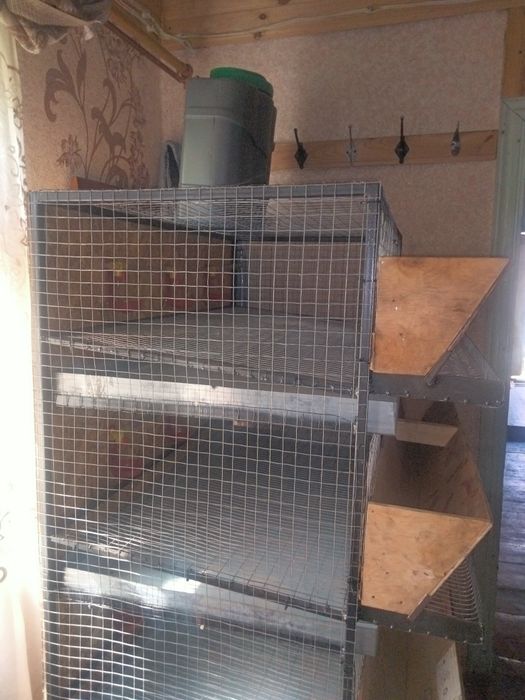 Клітки для перепілок 
Розміри 92 х50х22
Система поїнн