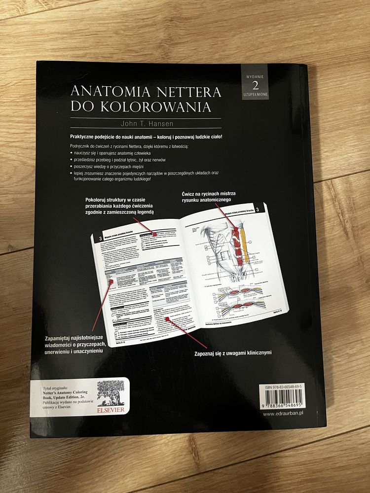 Anatomia Nettera do kolorowania