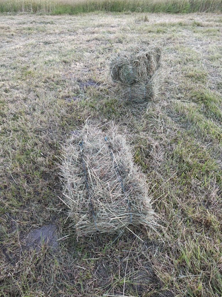 Сіно, сіно лугове, сіно в тюках, тюки
