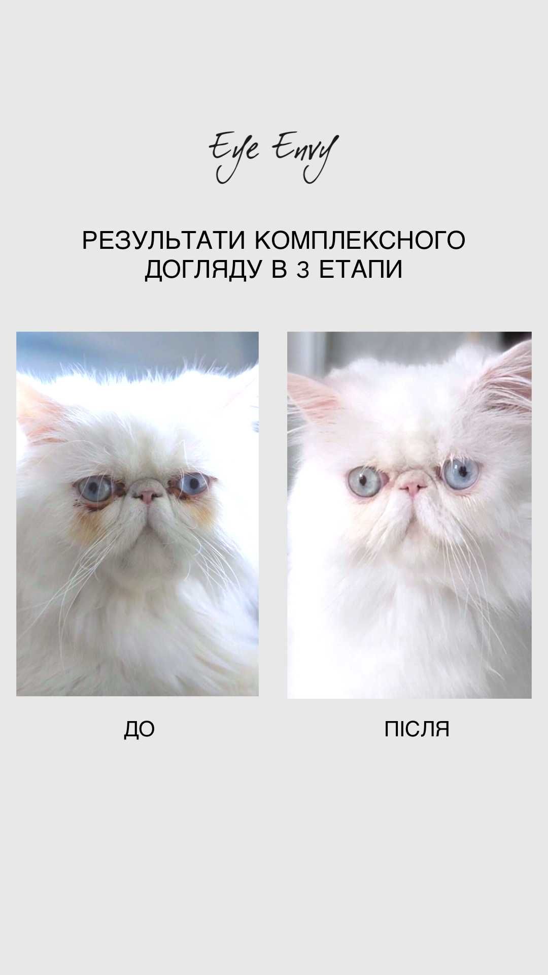 Набір Starter Kit для видалення слізних доріжок у тварин від Eye Envy