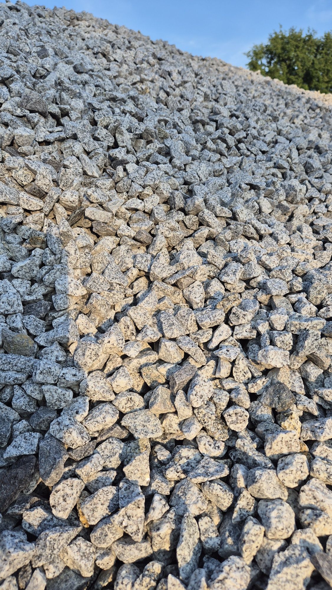 GRYS Granitowy Delmatyńczyk kruszywo ozdobne 16-22 Dekoracyjny