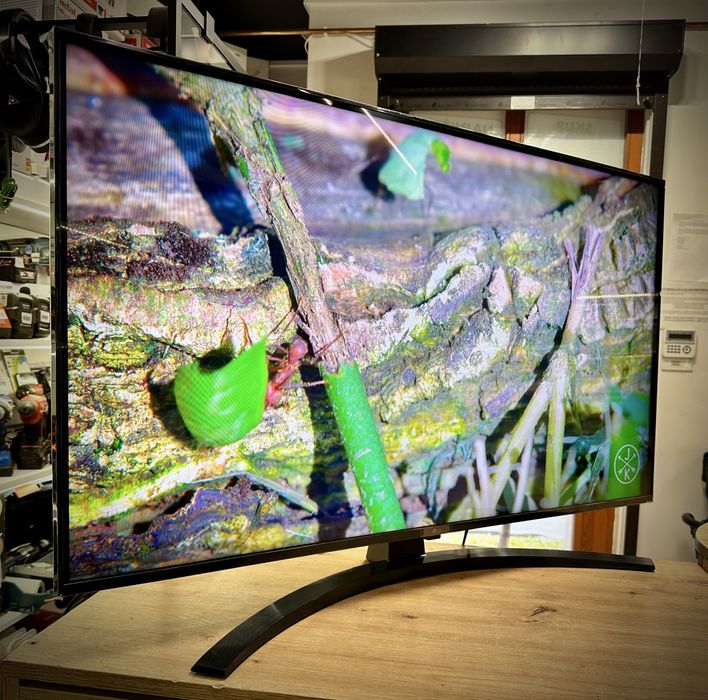 Telewizor LG 43UT81006LA 43" -otoLombard LUmik Kalisz Skup Telewizorów