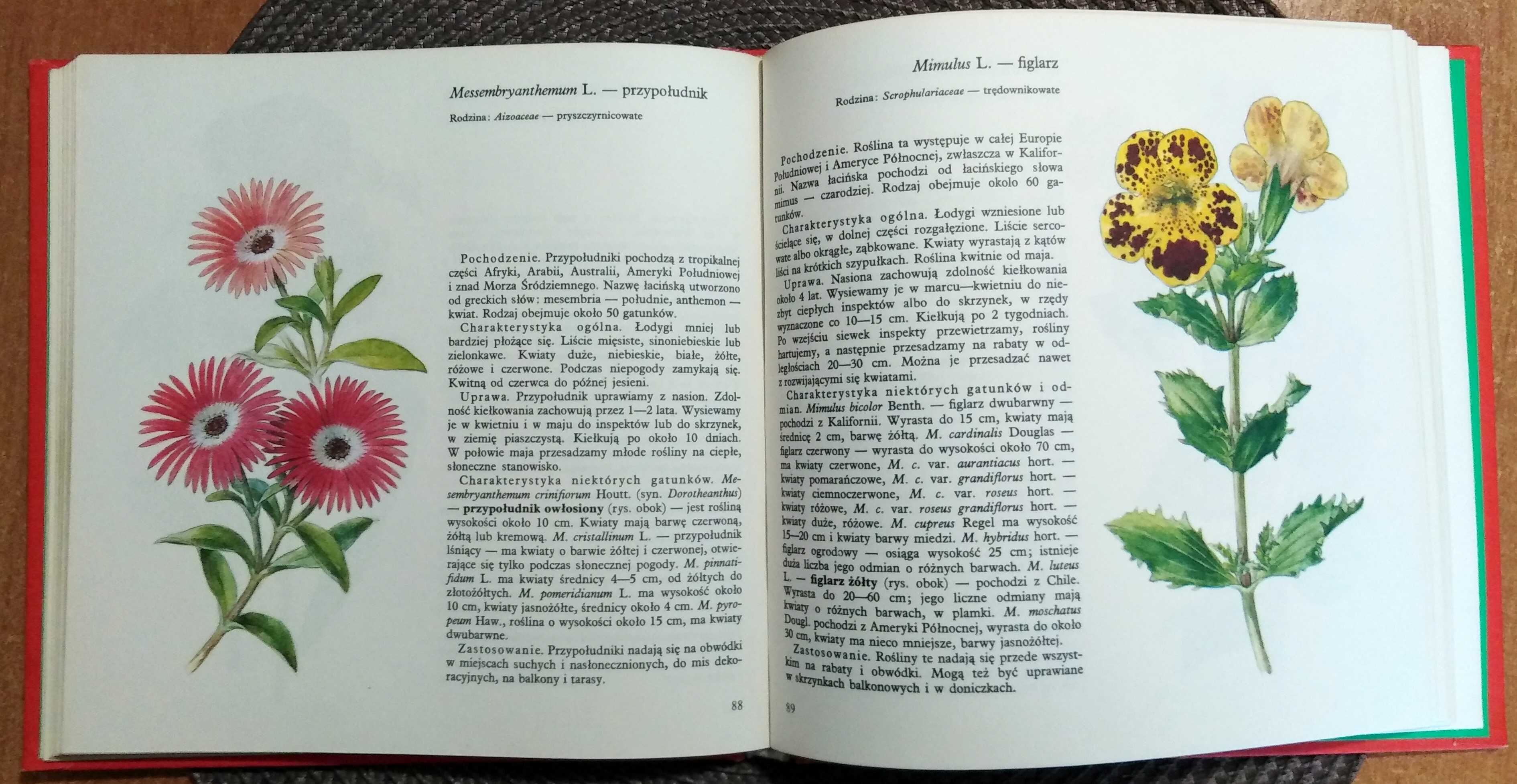 Kwiaty letnie (atlas z 1984 r.)