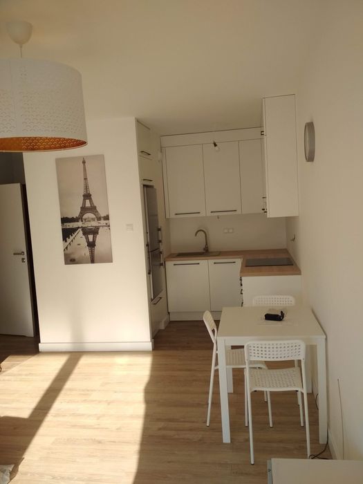 Do wynajecia mieszkanie os. Przy pałacu Pruszków