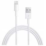 Economy Kabel Do Iphone USB - Lightning 1A 1m Biały Appx