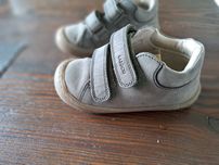 Trzewiki 24 Lasocki