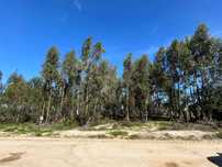 Terreno para venda 6790 m2