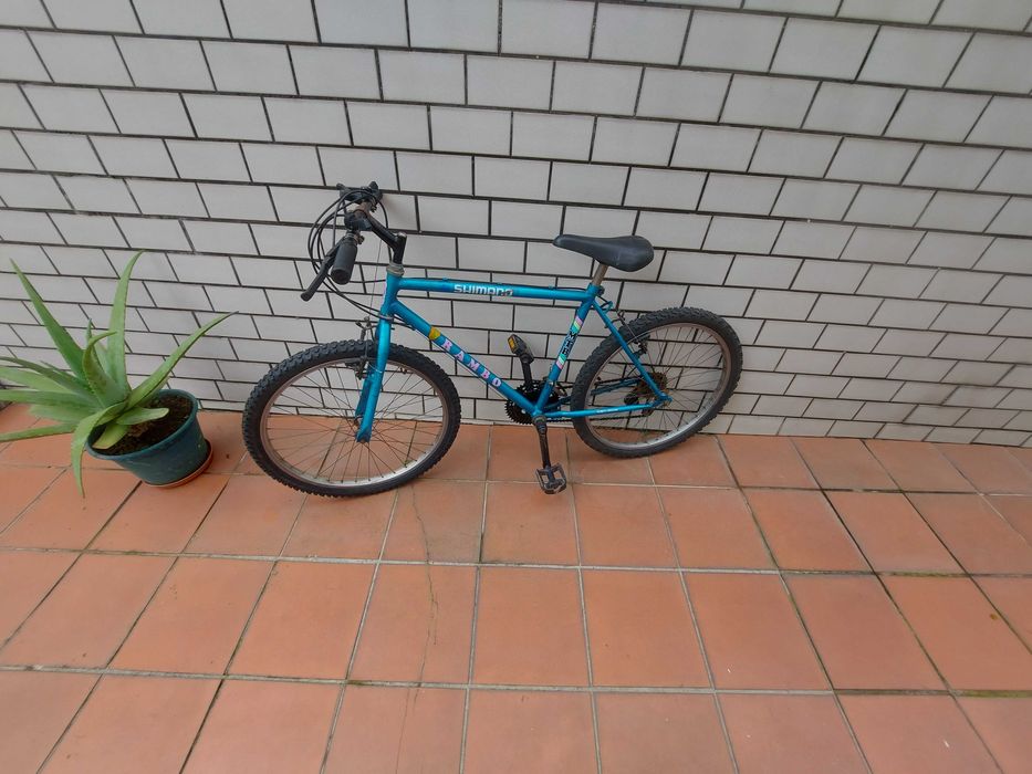 Bicicleta adulto