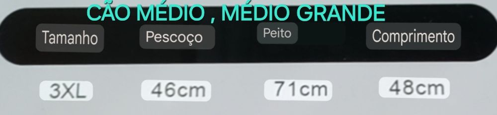 FATO NOVO DE INVERNO A ESTREAR PARA CÃO. Passeio,Rua,Casa,sala,quarto.