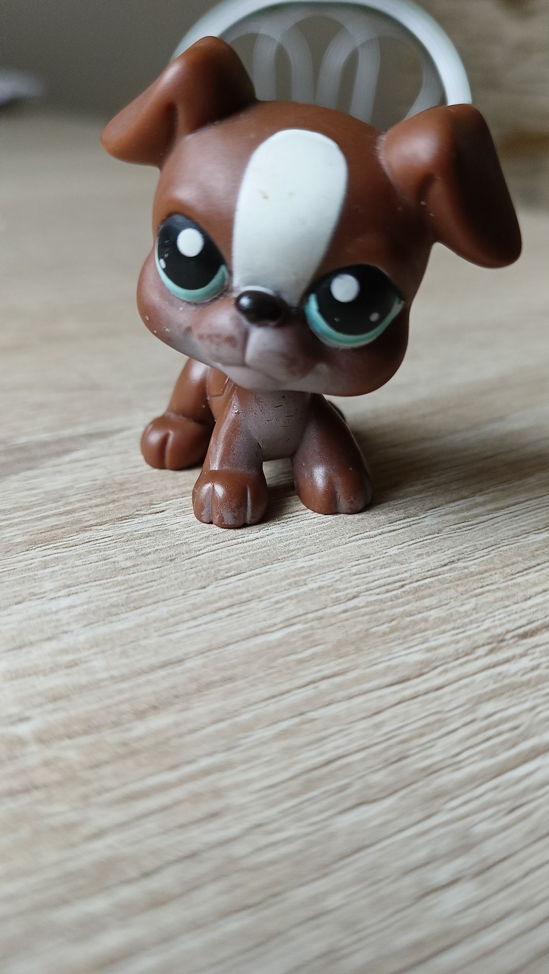Littlest pet shop