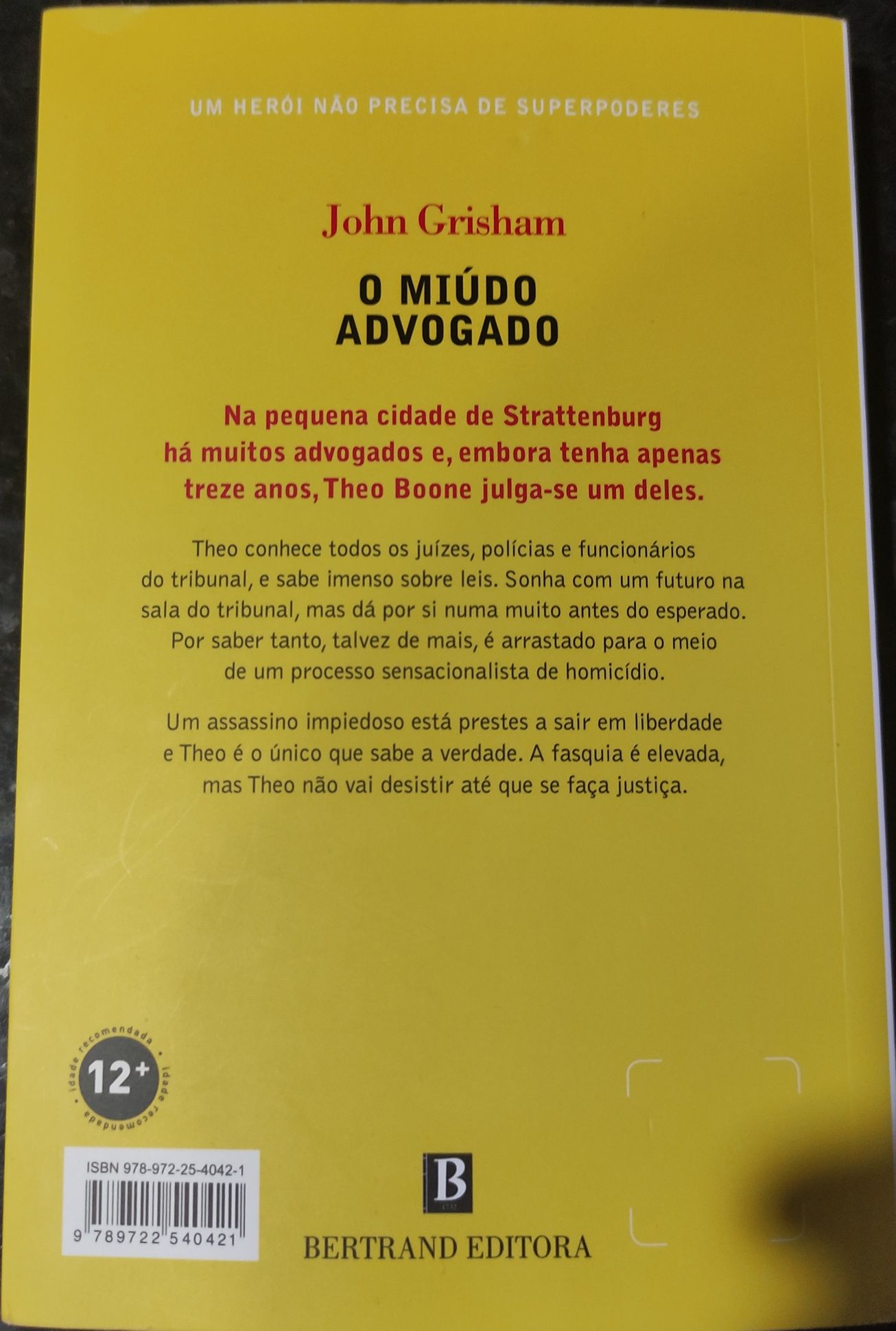 John Grisham - Theodore Boone, o miúdo advogado.